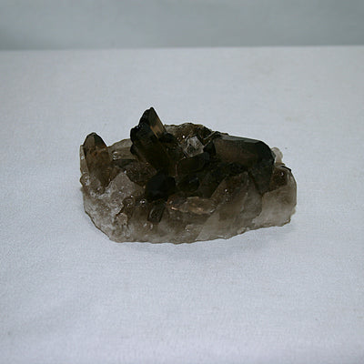 Smoky Quartz Cluster