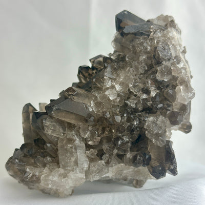 Smoky Quartz Cluster