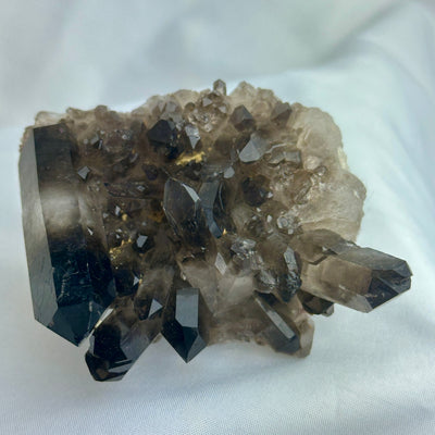 Smoky Quartz Cluster