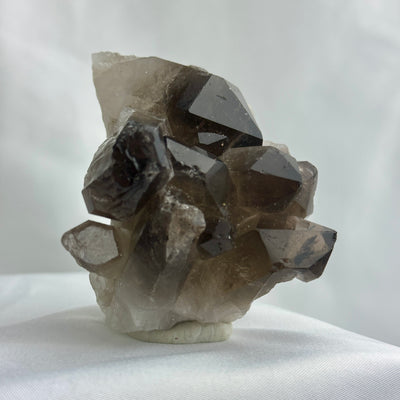 Smoky Quartz Cluster