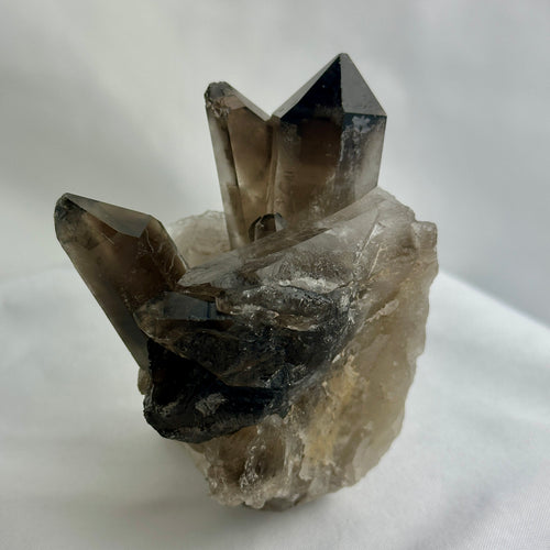 Smoky Quartz Cluster