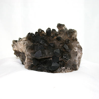 Smoky Quartz Cluster