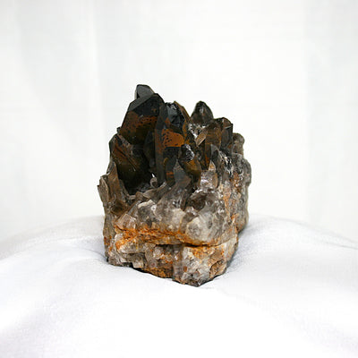 Smoky Quartz Cluster