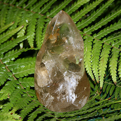 Smokey Quartz with Inclusions Freeform