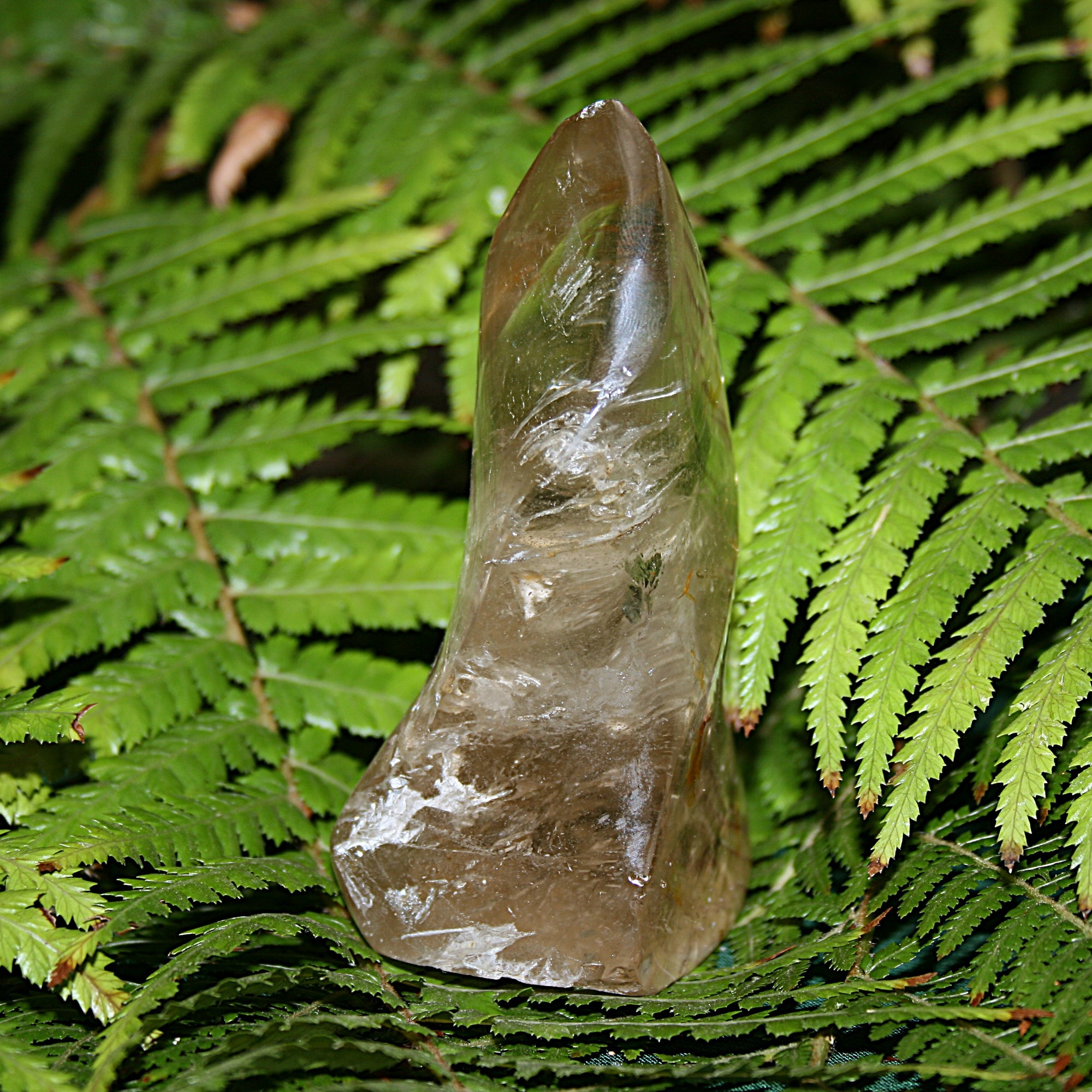 Smokey Quartz with Inclusions Freeform