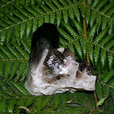 Smoky Quartz Cluster