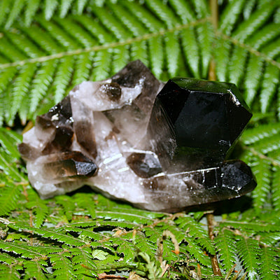 Smoky Quartz Cluster