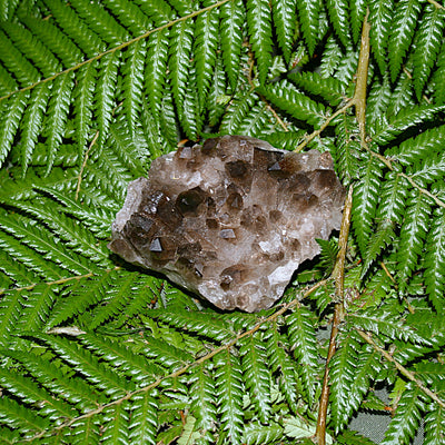 Smoky Quartz Cluster