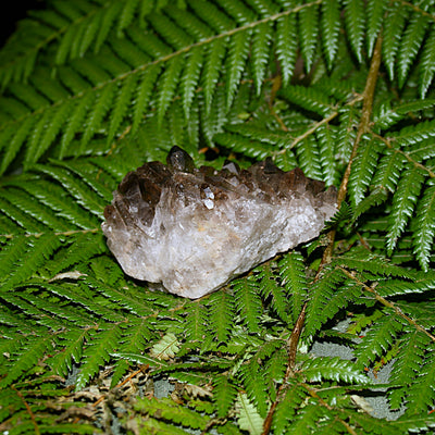 Smoky Quartz Cluster