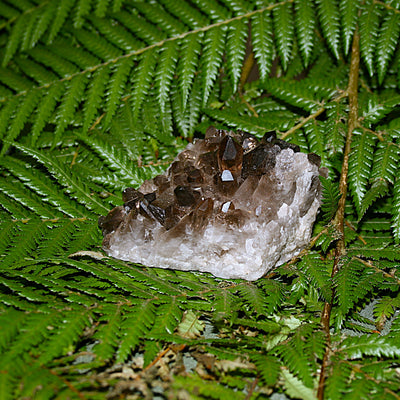 Smoky Quartz Cluster