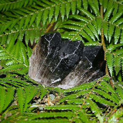 Smoky Quartz Cluster