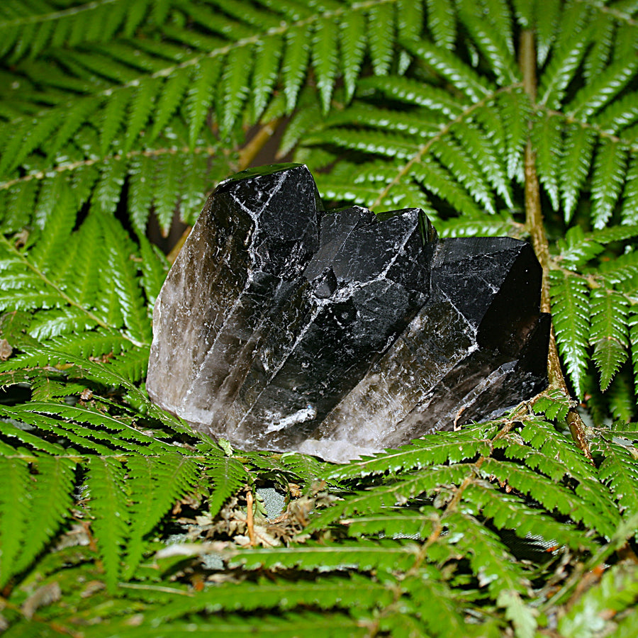 Smoky Quartz Cluster