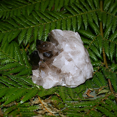 Smoky Quartz Cluster