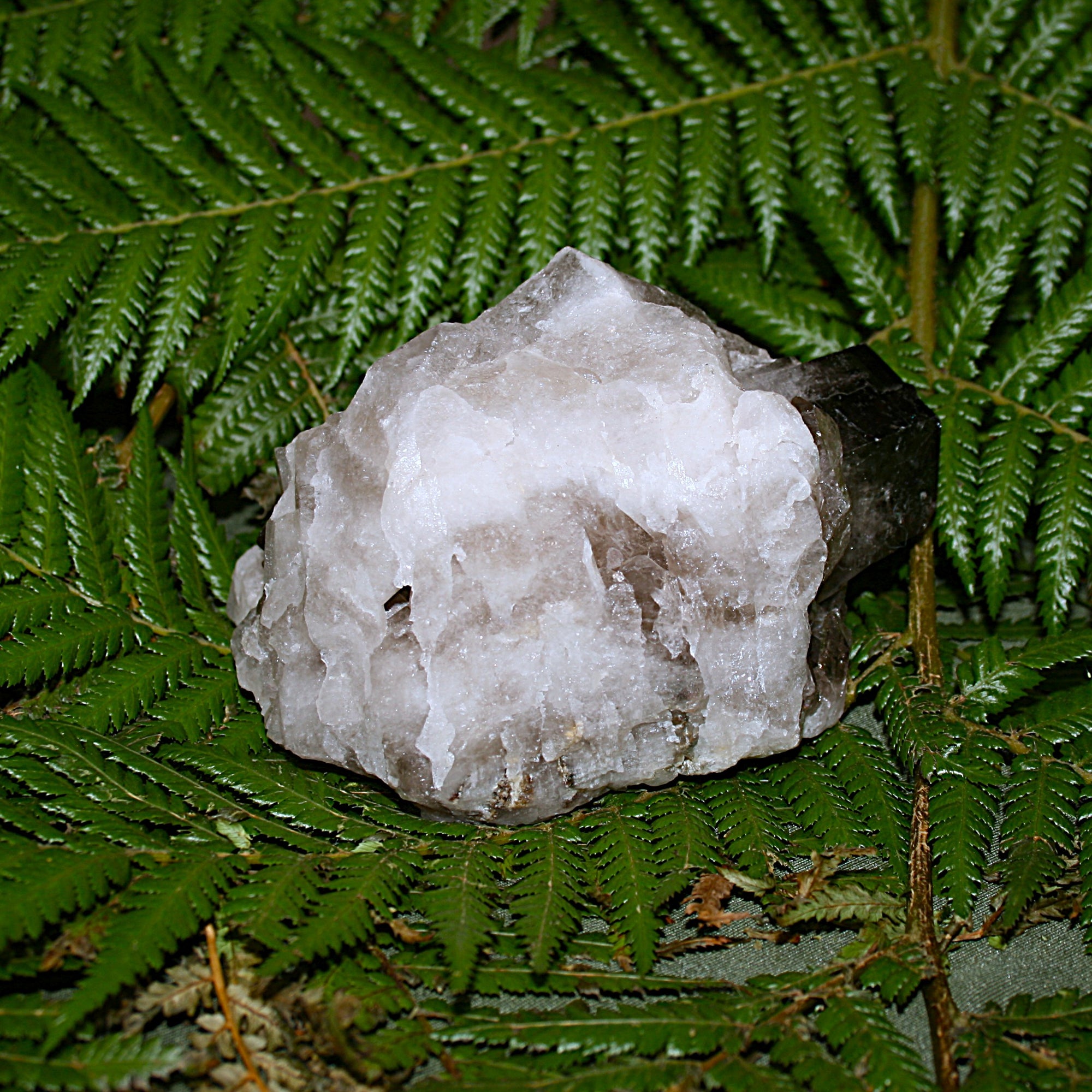 Smoky Quartz Cluster