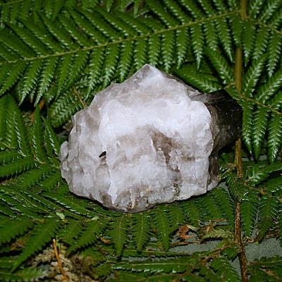 Smoky Quartz Cluster