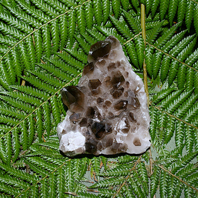 Smoky Quartz Cluster