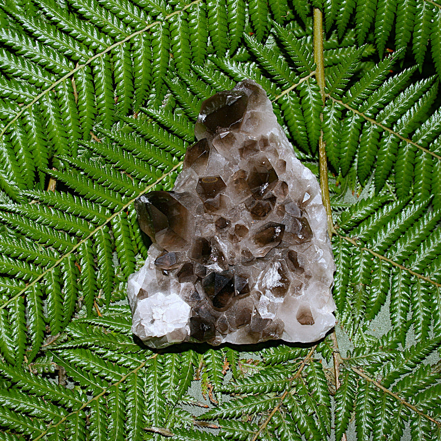 Smoky Quartz Cluster