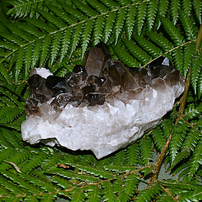 Smoky Quartz Cluster