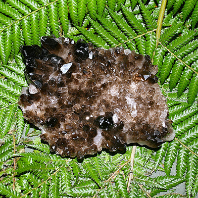 Smoky Quartz Cluster