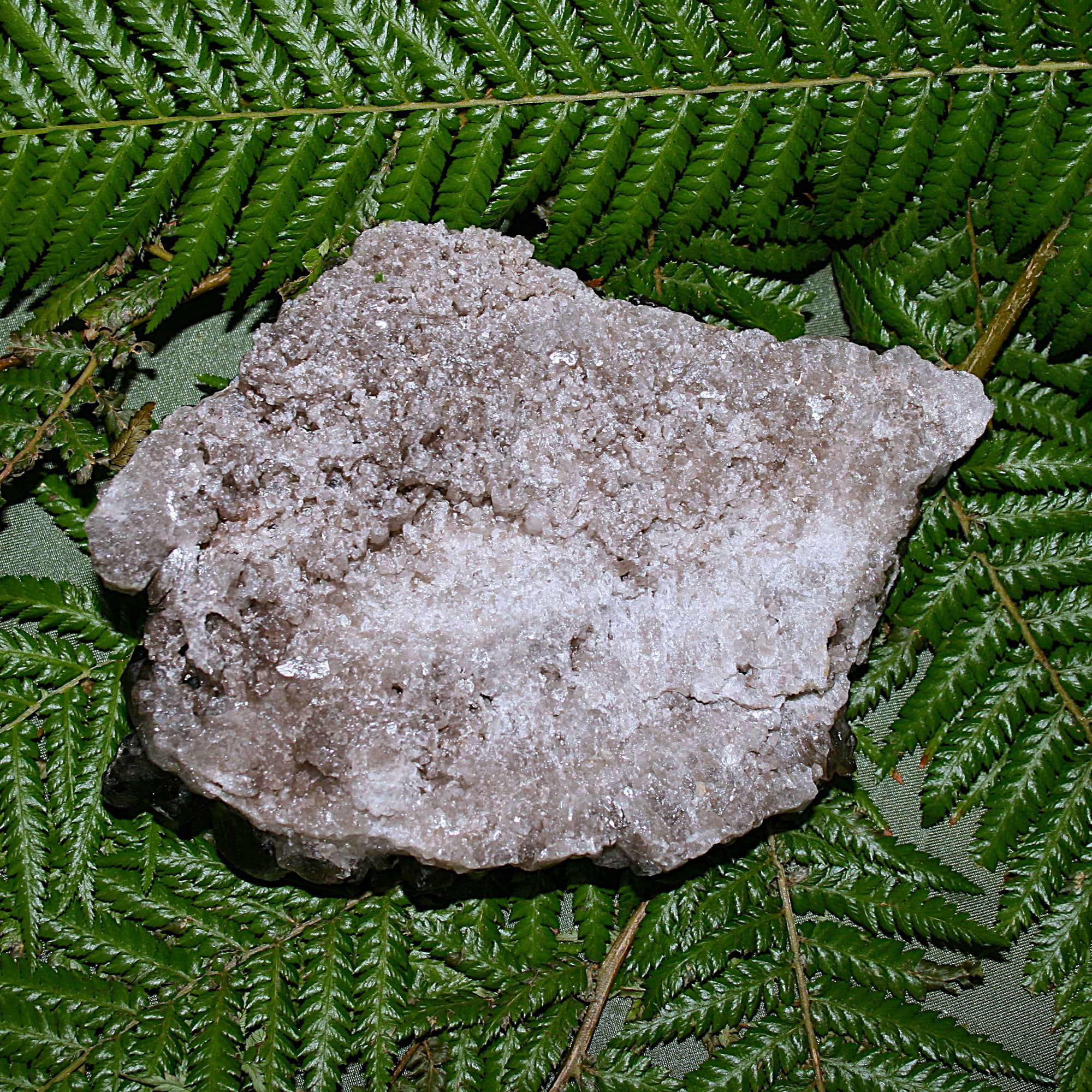 Smoky Quartz Cluster