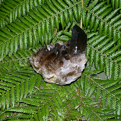 Smoky Quartz Cluster
