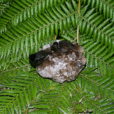 Smoky Quartz Cluster
