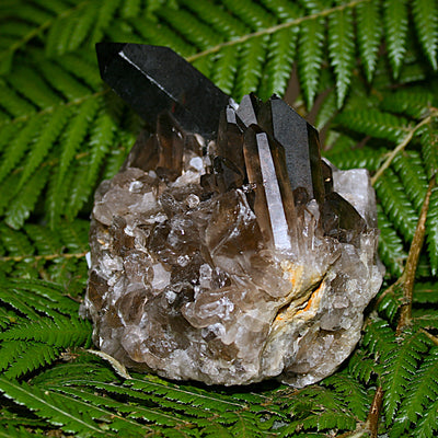 Smoky Quartz Cluster