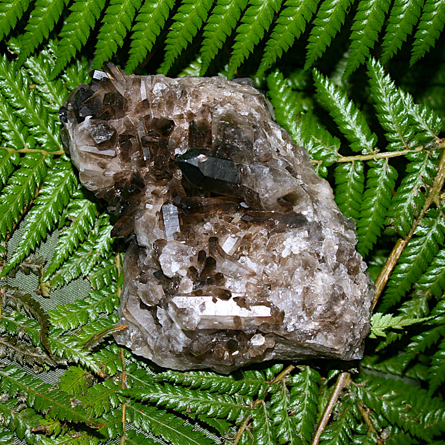 Smoky Quartz Cluster