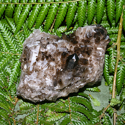 Smoky Quartz Cluster