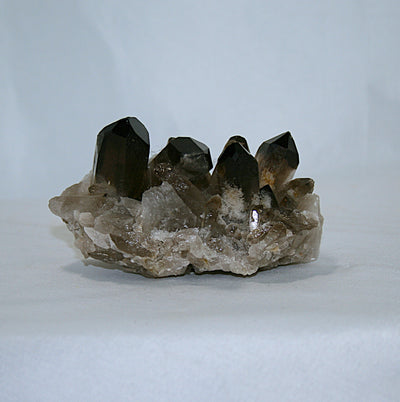 Smoky Quartz Cluster