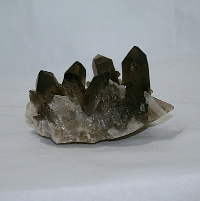Smoky Quartz Cluster