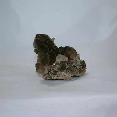 Smoky Quartz Cluster