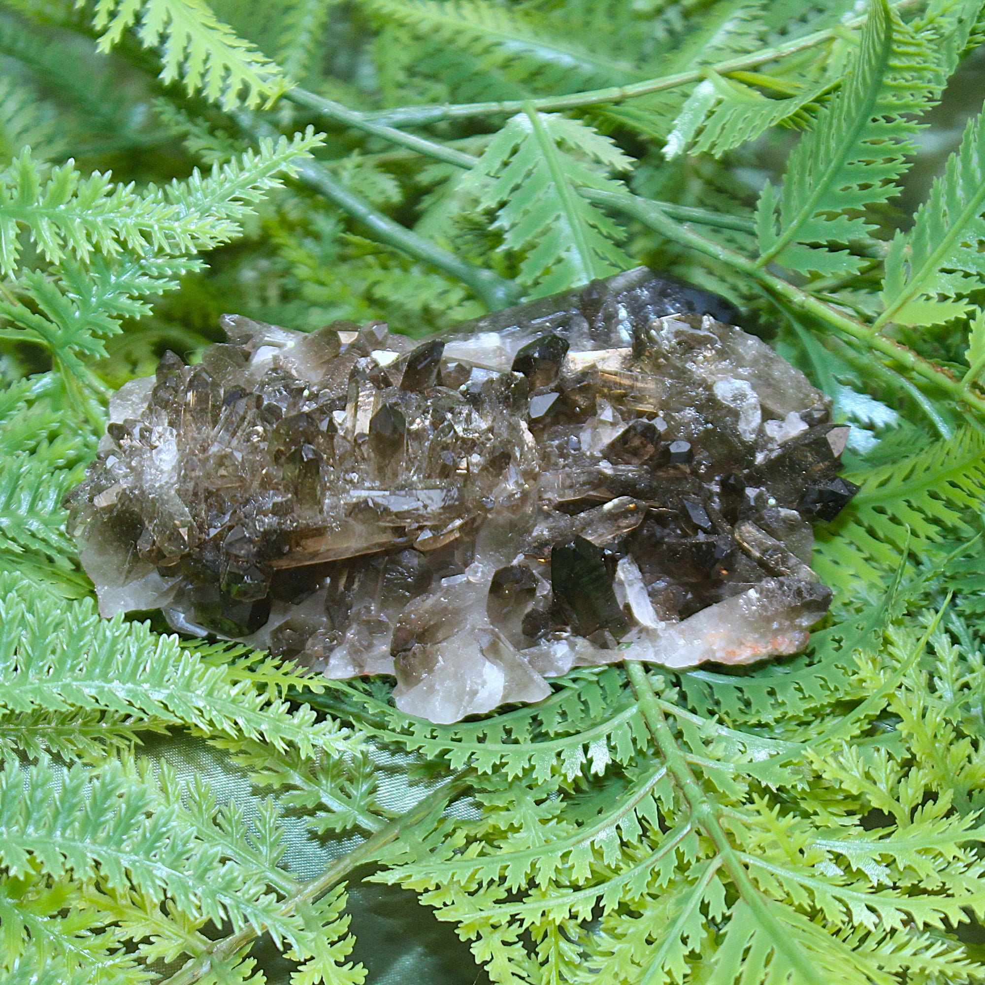 Smoky Quartz Cluster