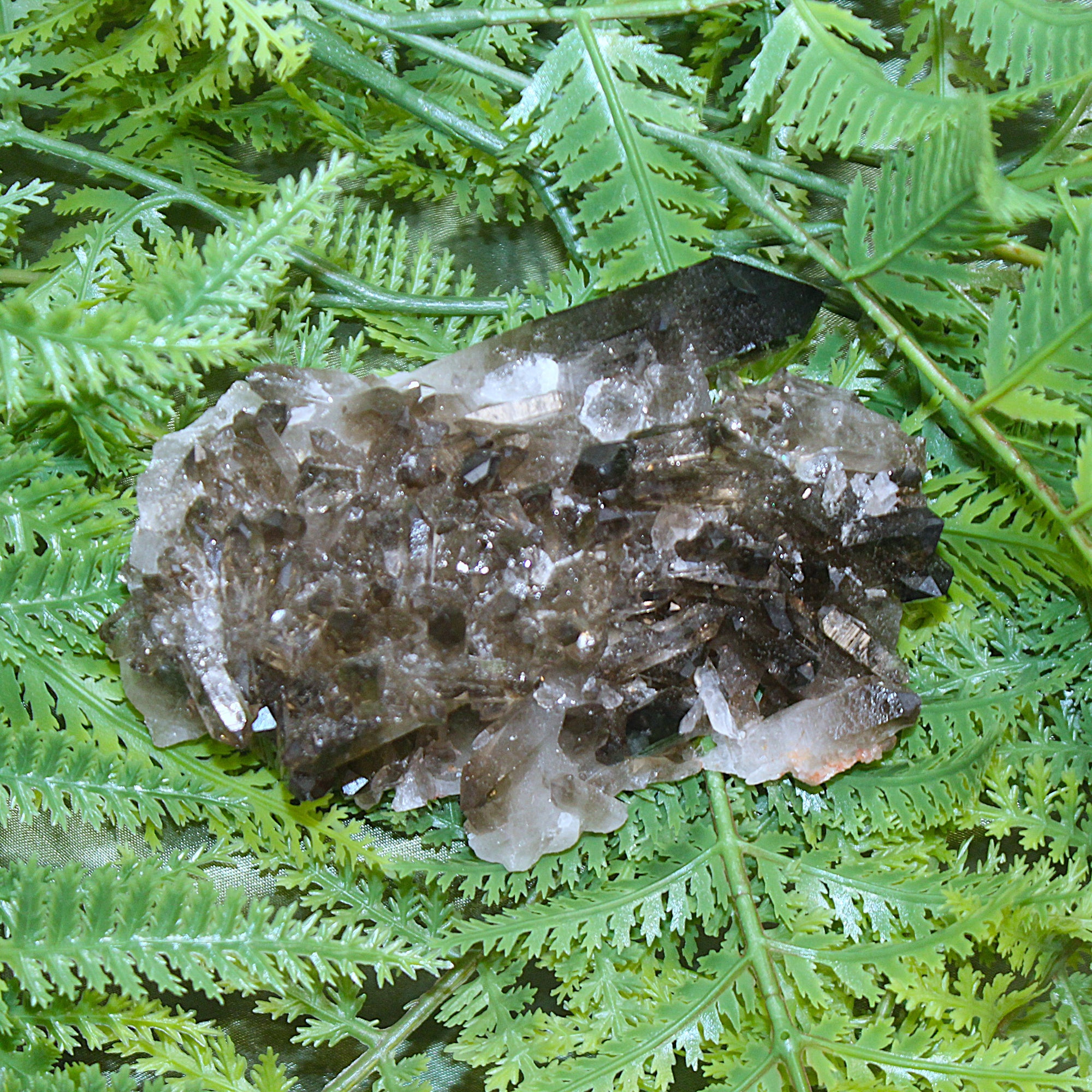 Smoky Quartz Cluster
