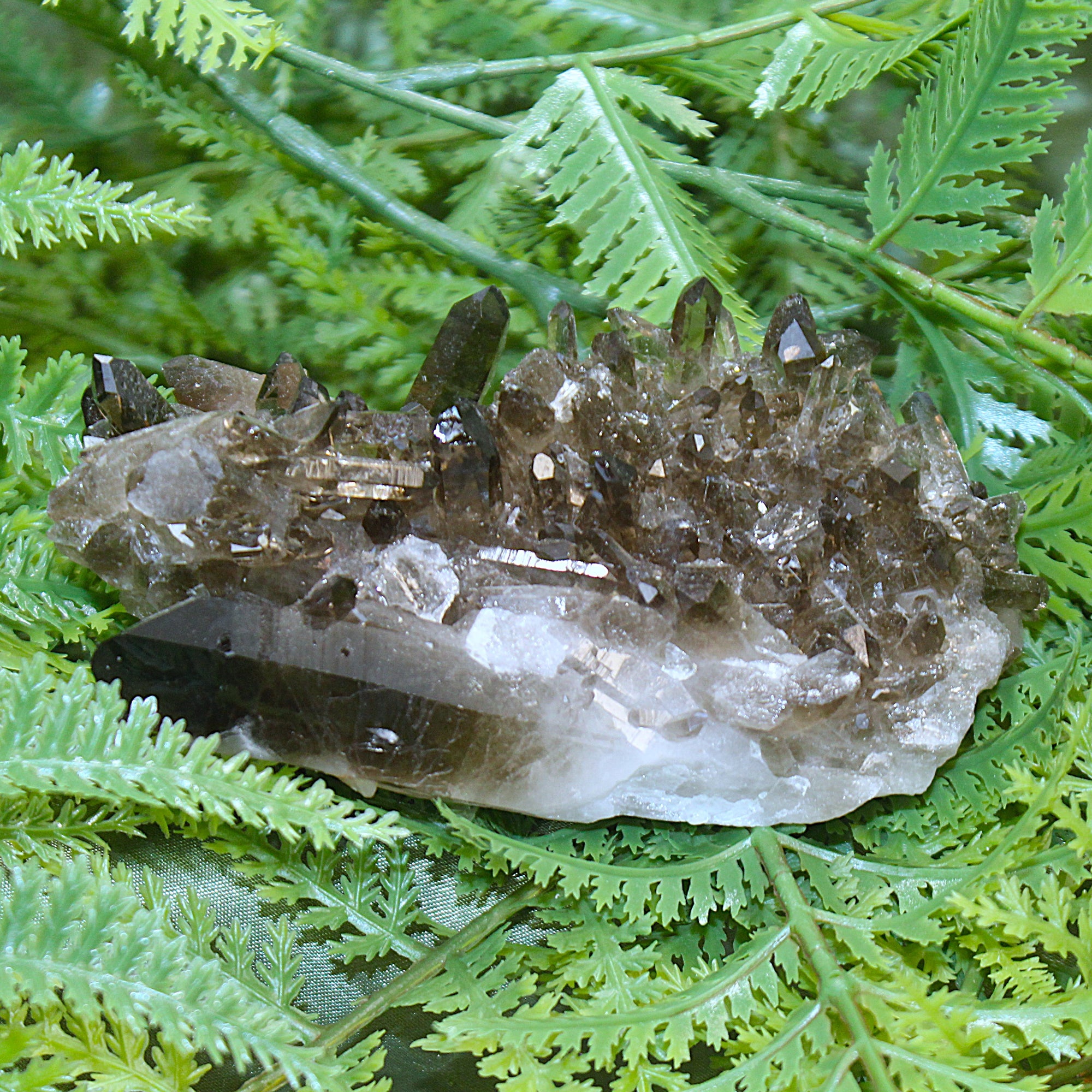 Smoky Quartz Cluster