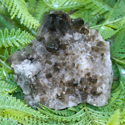 Smoky Quartz Cluster