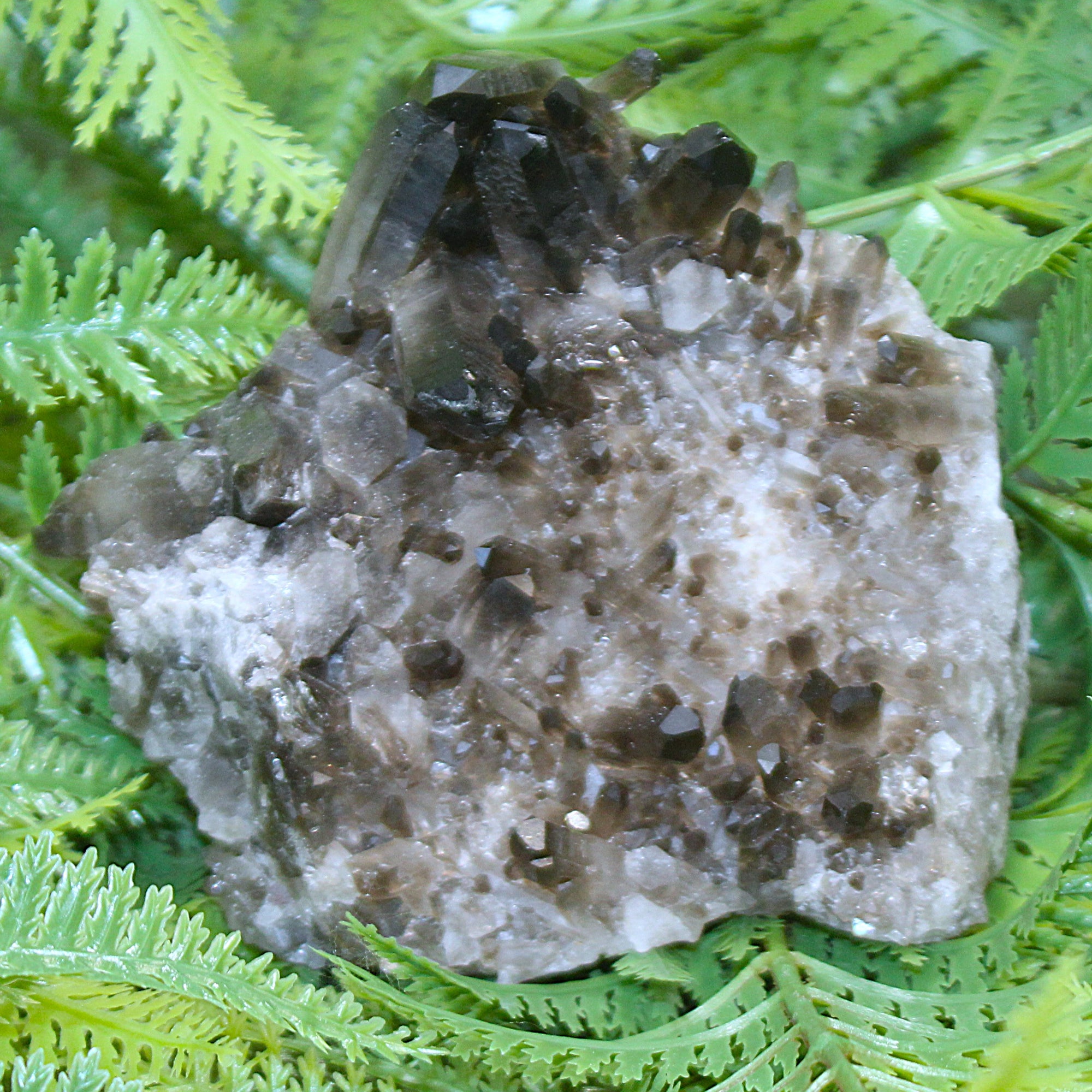 Smoky Quartz Cluster