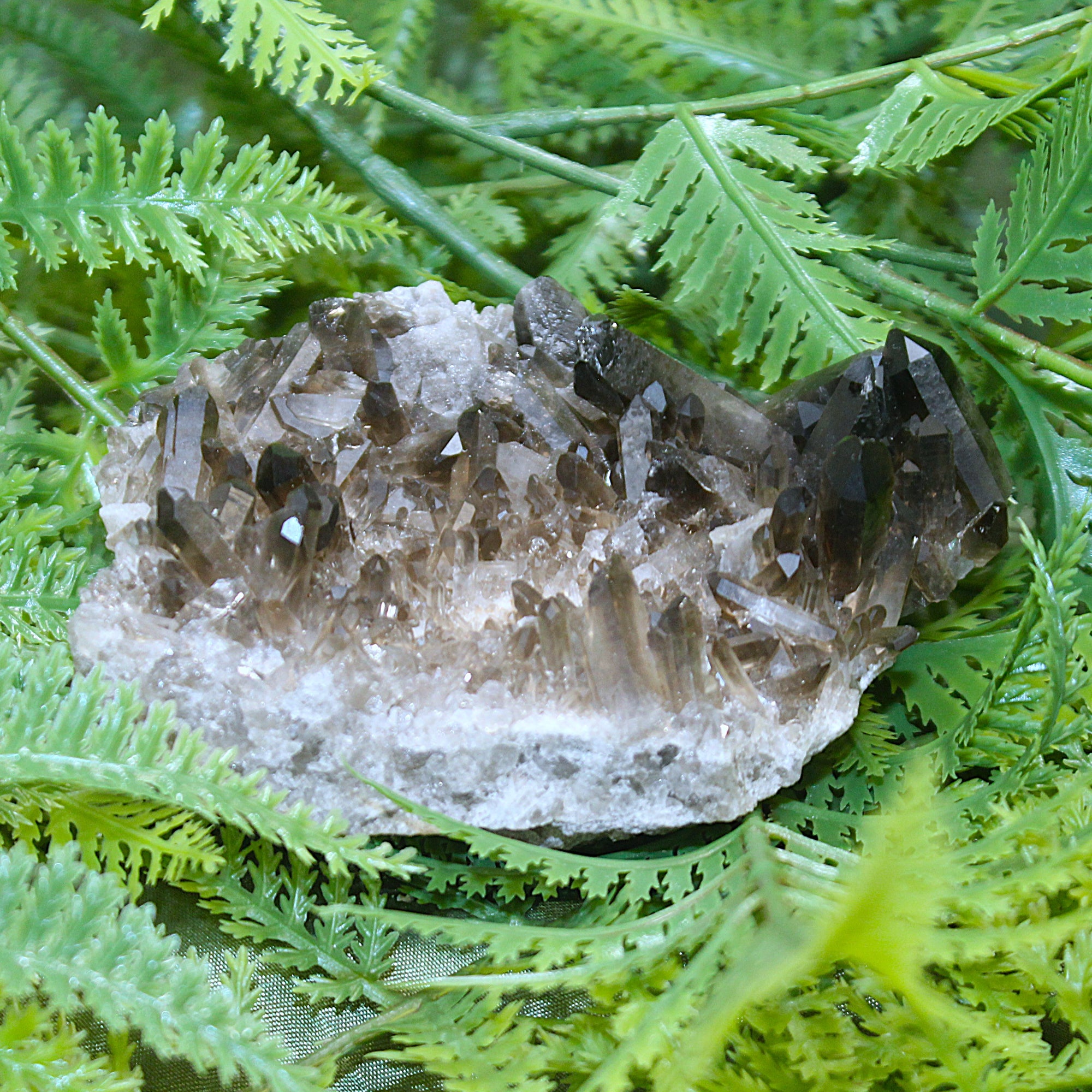 Smoky Quartz Cluster