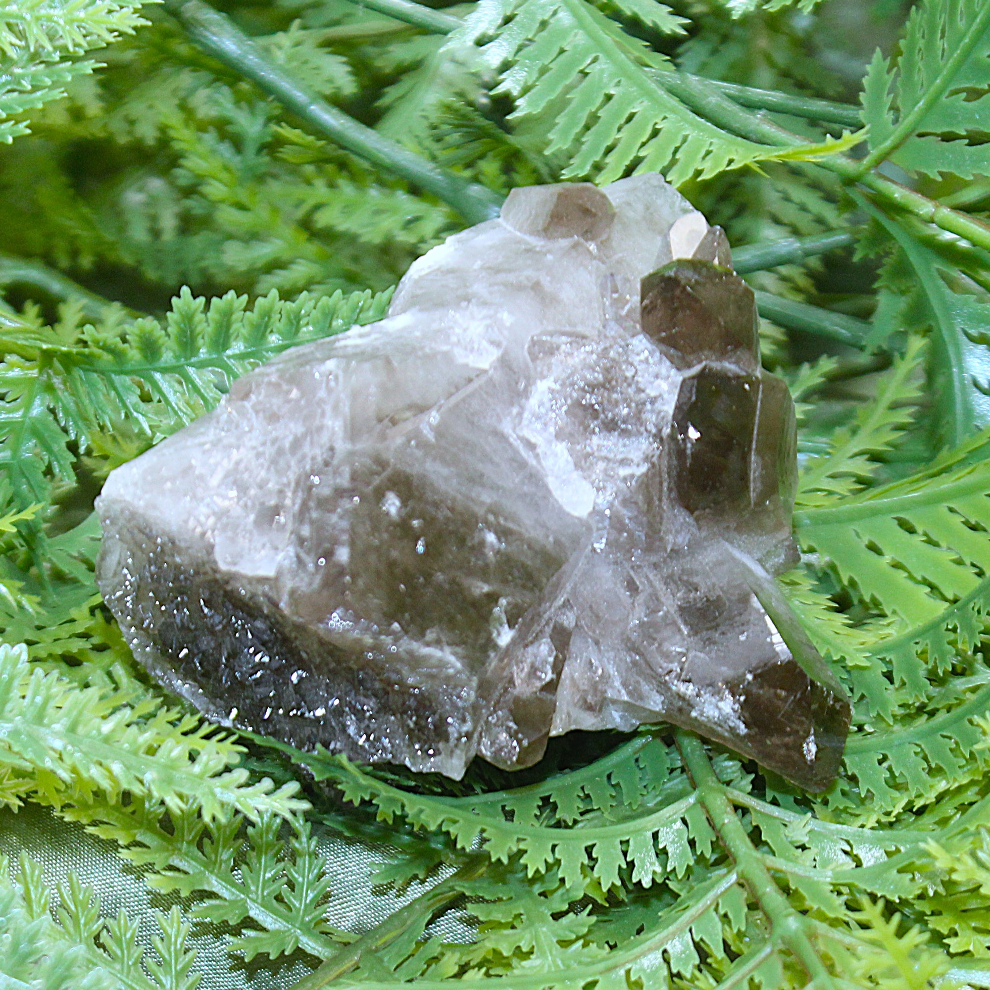 Smoky Quartz Cluster