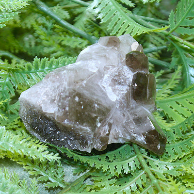 Smoky Quartz Cluster