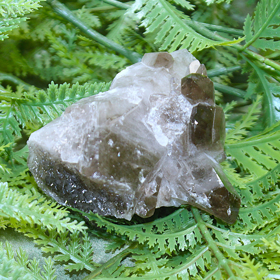 Smoky Quartz Cluster