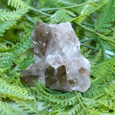 Smoky Quartz Cluster