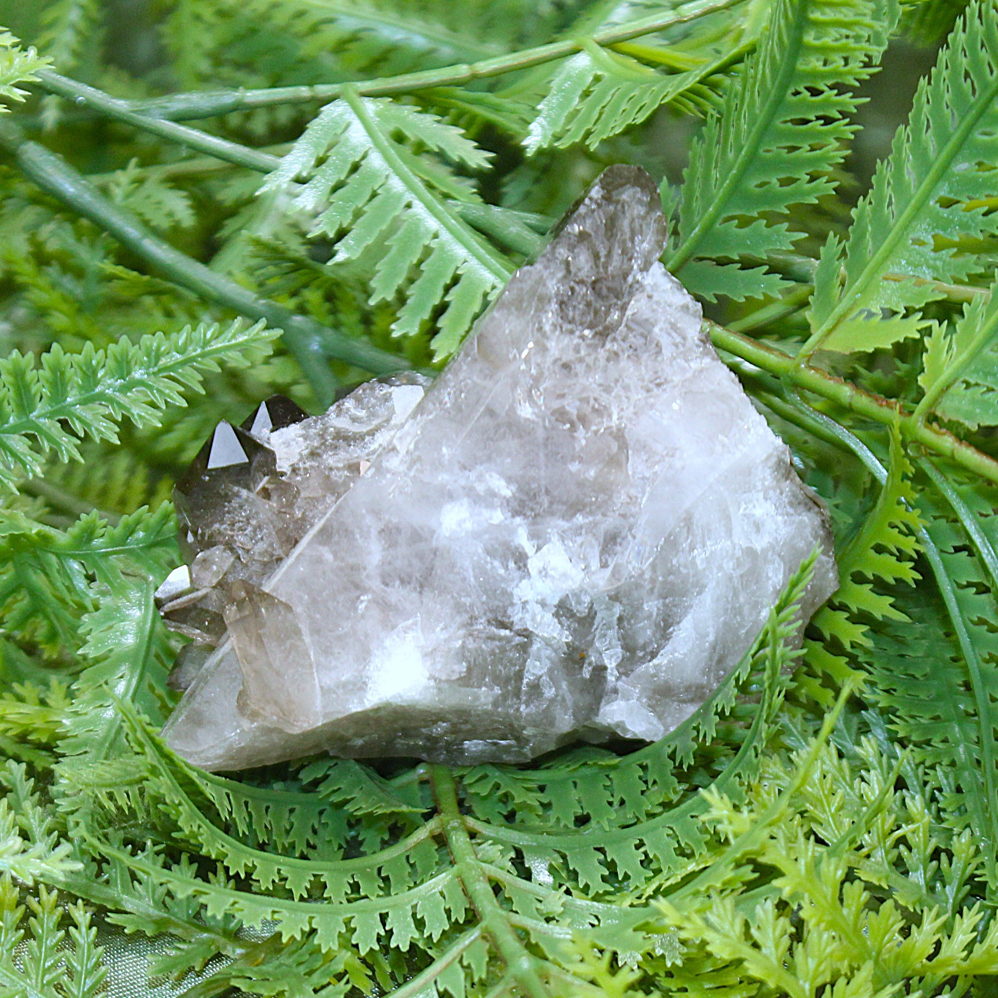 Smoky Quartz Cluster