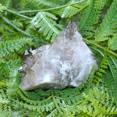 Smoky Quartz Cluster
