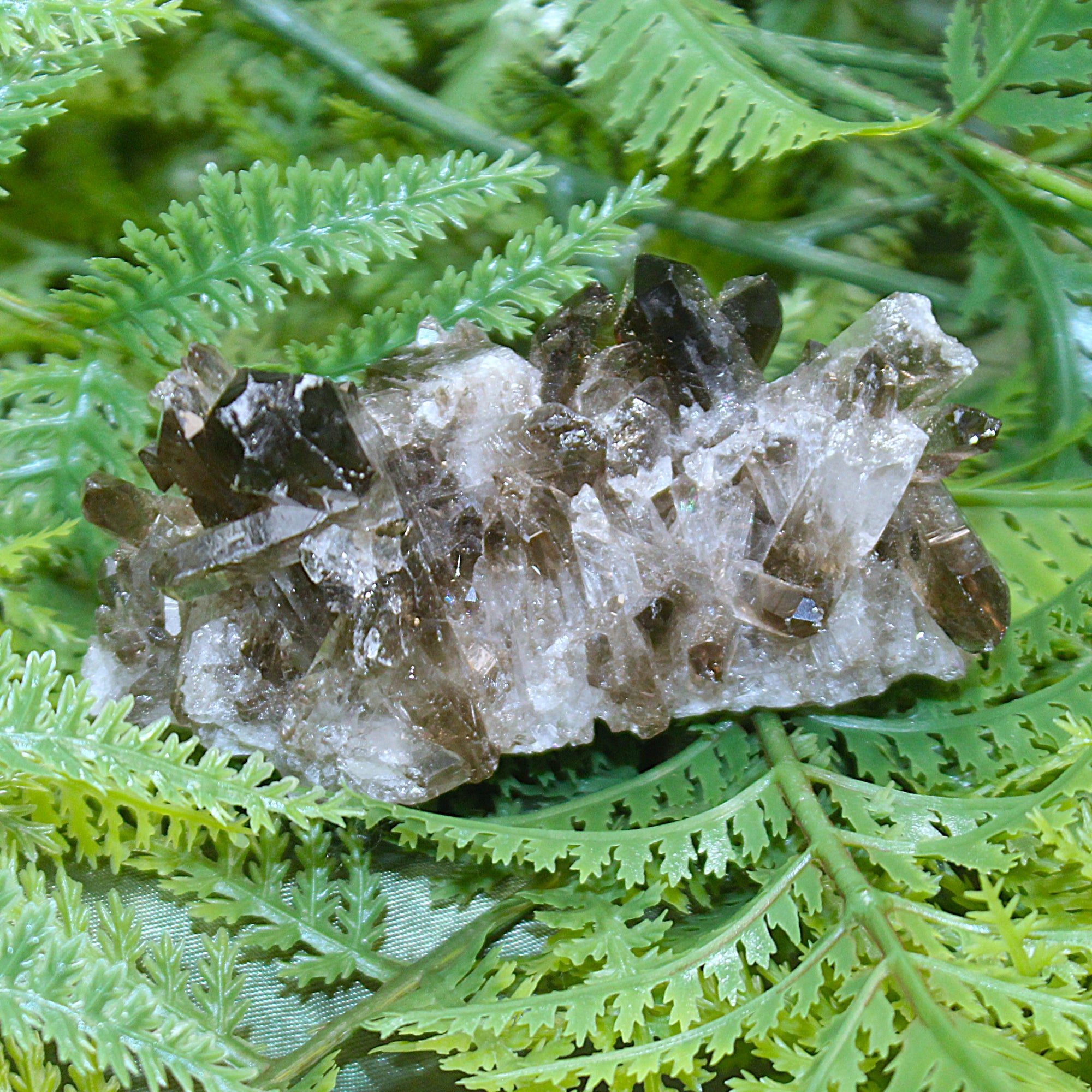 Smoky Quartz Cluster