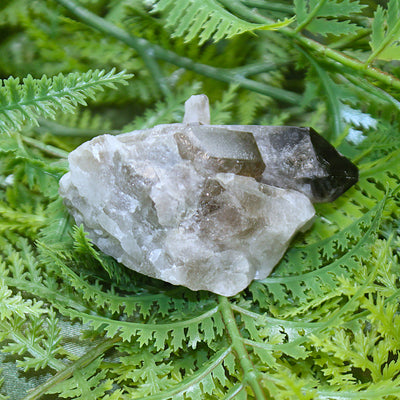 Smoky Quartz Cluster