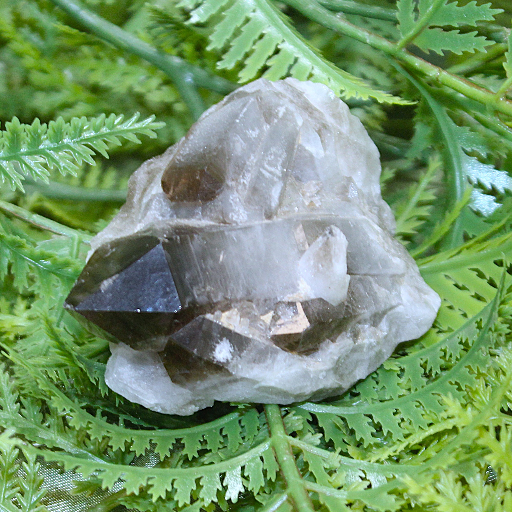 Smoky Quartz Cluster