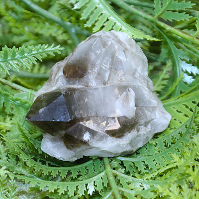 Smoky Quartz Cluster