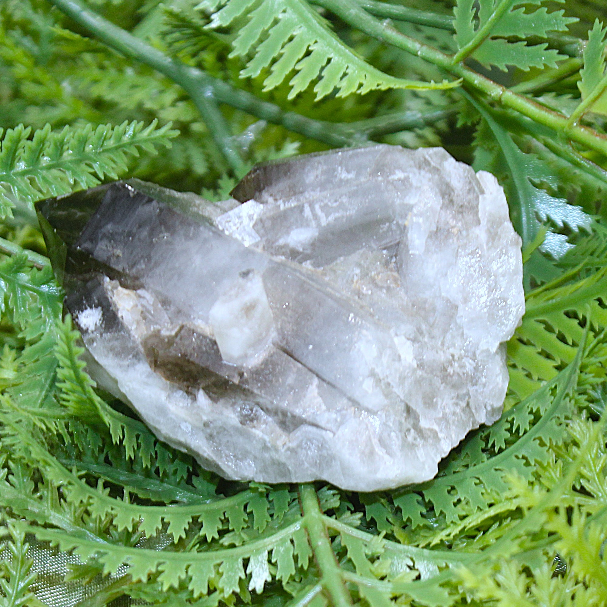 Smoky Quartz Cluster