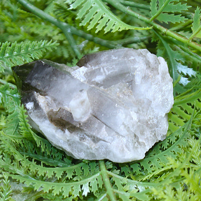 Smoky Quartz Cluster